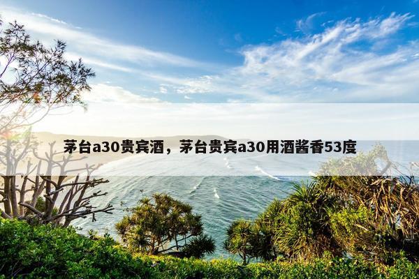 茅台a30贵宾酒，茅台贵宾a30用酒酱香53度