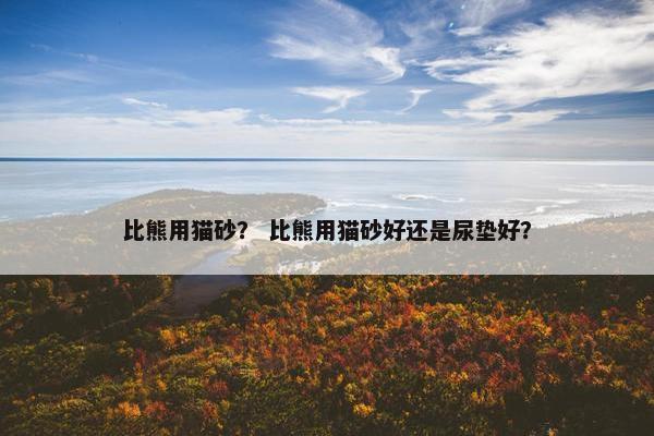 比熊用猫砂？ 比熊用猫砂好还是尿垫好？
