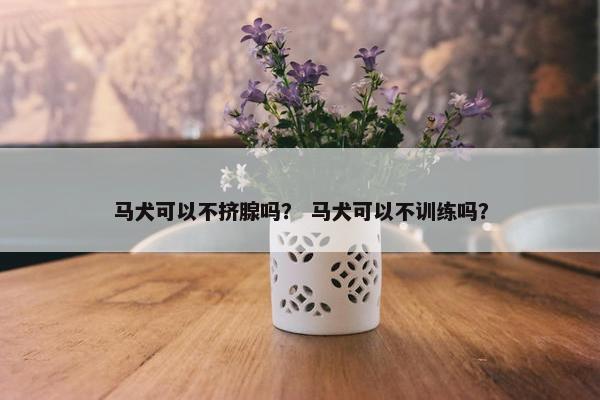 马犬可以不挤腺吗？ 马犬可以不训练吗？