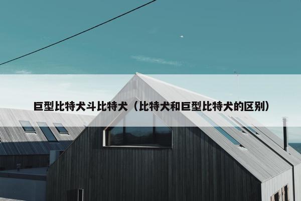 巨型比特犬斗比特犬（比特犬和巨型比特犬的区别）