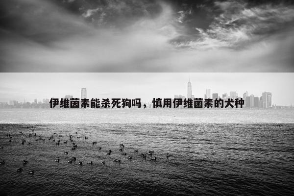 伊维茵素能杀死狗吗，慎用伊维菌素的犬种