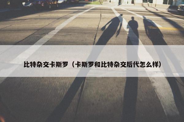 比特杂交卡斯罗（卡斯罗和比特杂交后代怎么样）