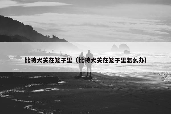 比特犬关在笼子里（比特犬关在笼子里怎么办）