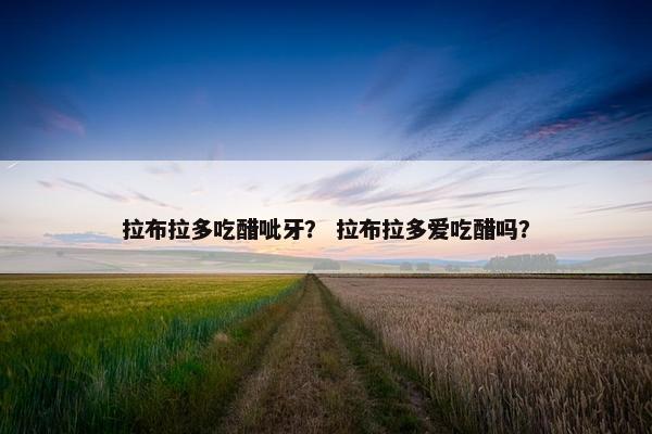 拉布拉多吃醋呲牙？ 拉布拉多爱吃醋吗？