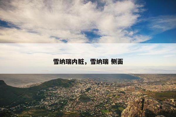 雪纳瑞内脏，雪纳瑞 侧面