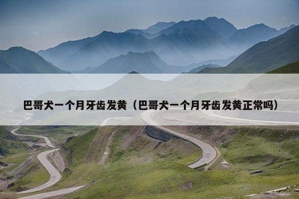 巴哥犬一个月牙齿发黄（巴哥犬一个月牙齿发黄正常吗）