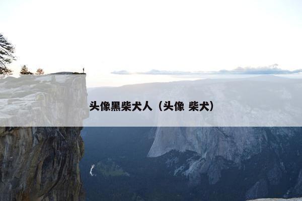 头像黑柴犬人（头像 柴犬）