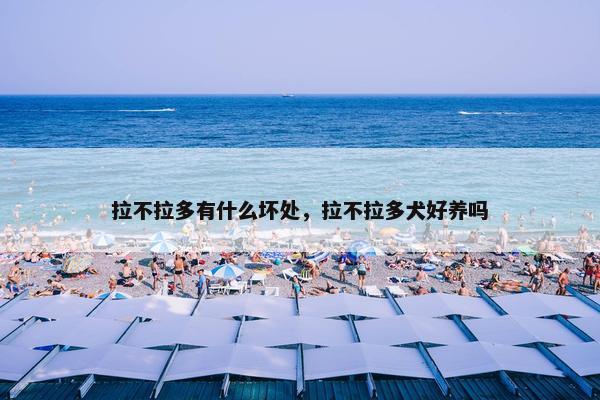 拉不拉多有什么坏处，拉不拉多犬好养吗