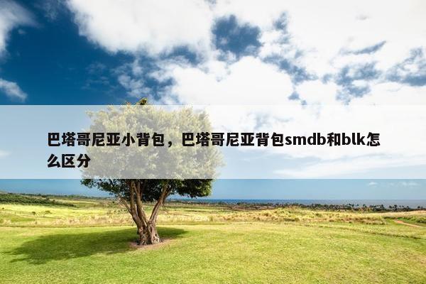 巴塔哥尼亚小背包，巴塔哥尼亚背包smdb和blk怎么区分