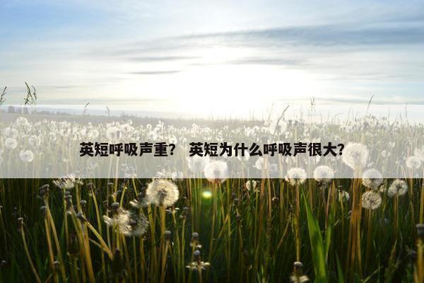 英短呼吸声重？ 英短为什么呼吸声很大？