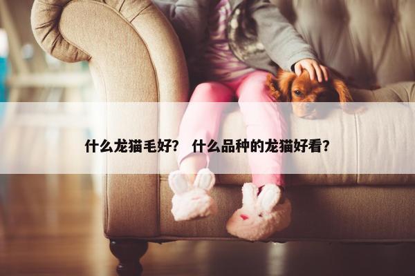 什么龙猫毛好？ 什么品种的龙猫好看？