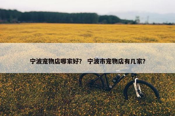 宁波宠物店哪家好？ 宁波市宠物店有几家？