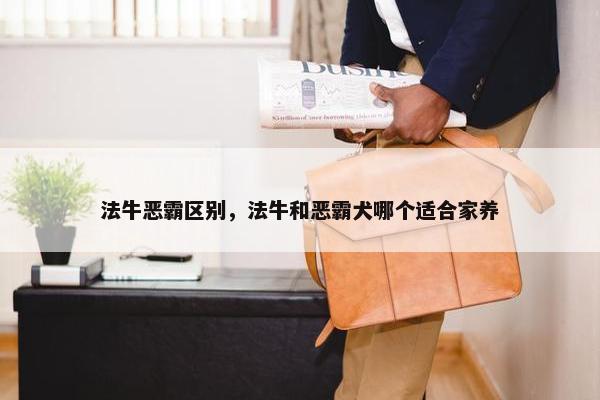 法牛恶霸区别，法牛和恶霸犬哪个适合家养
