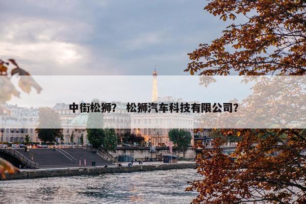 中街松狮？ 松狮汽车科技有限公司？