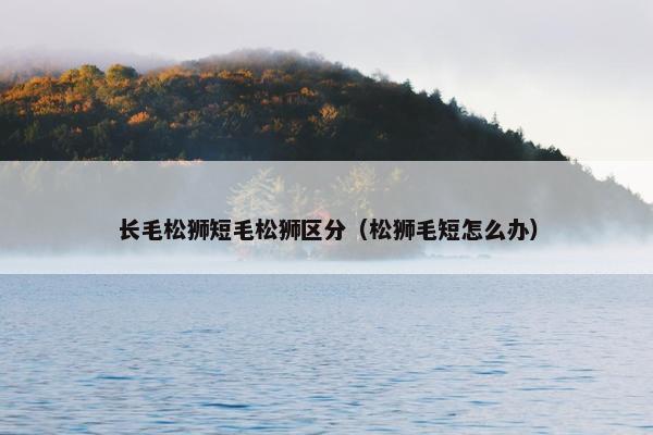 长毛松狮短毛松狮区分（松狮毛短怎么办）