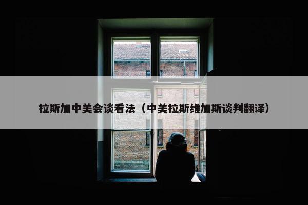 拉斯加中美会谈看法（中美拉斯维加斯谈判翻译）