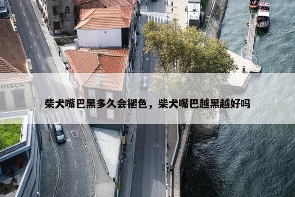 柴犬嘴巴黑多久会褪色，柴犬嘴巴越黑越好吗