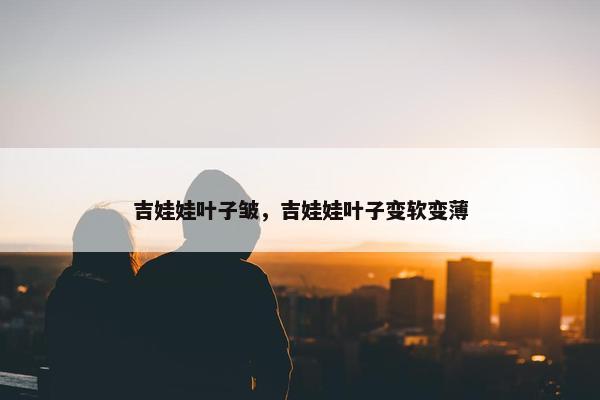 吉娃娃叶子皱，吉娃娃叶子变软变薄