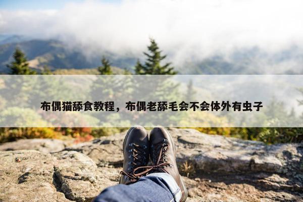 布偶猫舔食教程，布偶老舔毛会不会体外有虫子