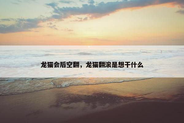 龙猫会后空翻，龙猫翻滚是想干什么