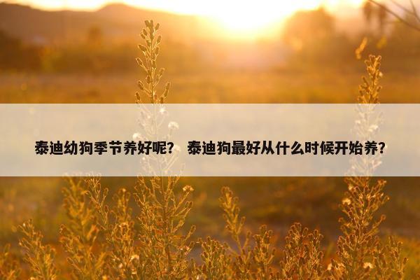 泰迪幼狗季节养好呢？ 泰迪狗最好从什么时候开始养？