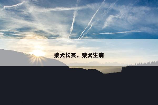 柴犬长丧，柴犬生病