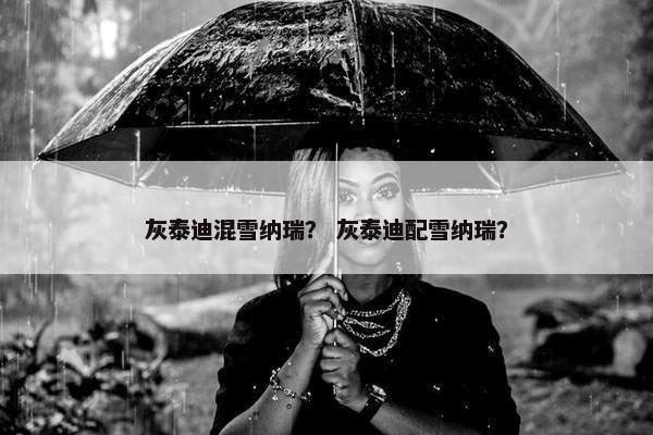 灰泰迪混雪纳瑞？ 灰泰迪配雪纳瑞？