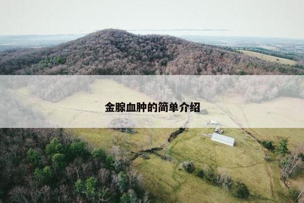 金腺血肿的简单介绍