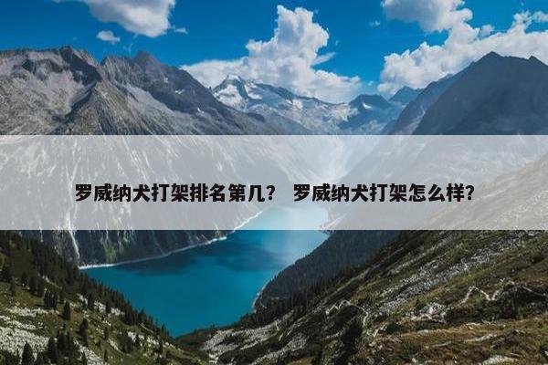罗威纳犬打架排名第几？ 罗威纳犬打架怎么样？