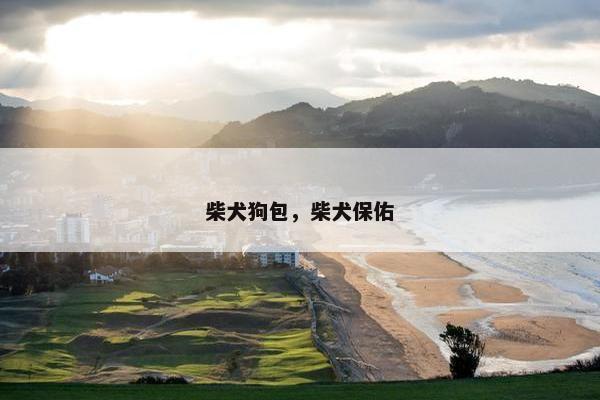 柴犬狗包，柴犬保佑