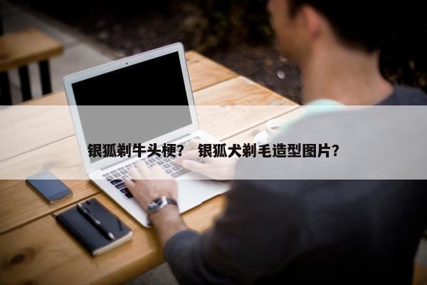 银狐剃牛头梗？ 银狐犬剃毛造型图片？