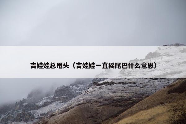 吉娃娃总甩头（吉娃娃一直摇尾巴什么意思）