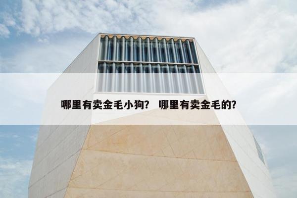 哪里有卖金毛小狗？ 哪里有卖金毛的？