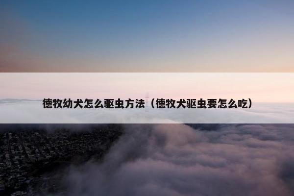 德牧幼犬怎么驱虫方法（德牧犬驱虫要怎么吃）