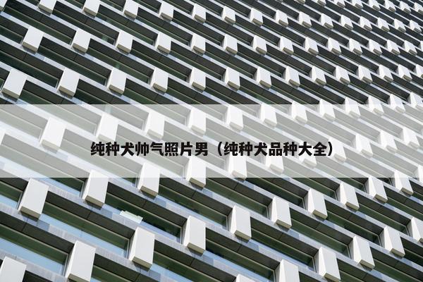 纯种犬帅气照片男（纯种犬品种大全）