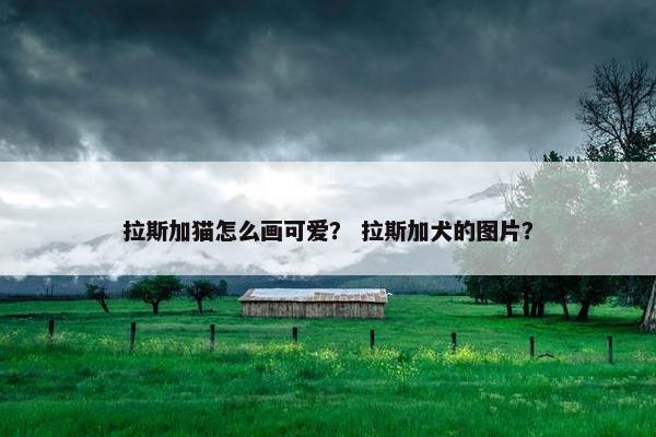 拉斯加猫怎么画可爱？ 拉斯加犬的图片？