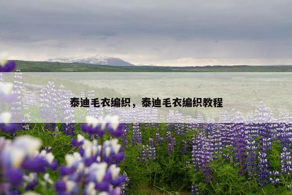 泰迪毛衣编织，泰迪毛衣编织教程