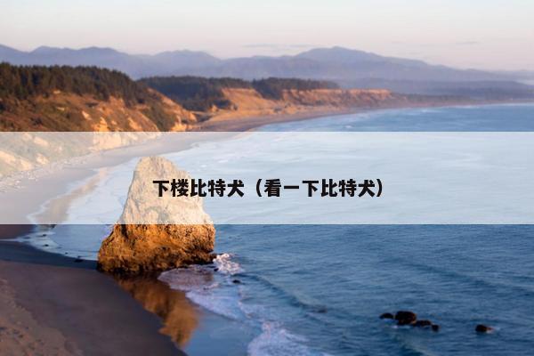 下楼比特犬（看一下比特犬）