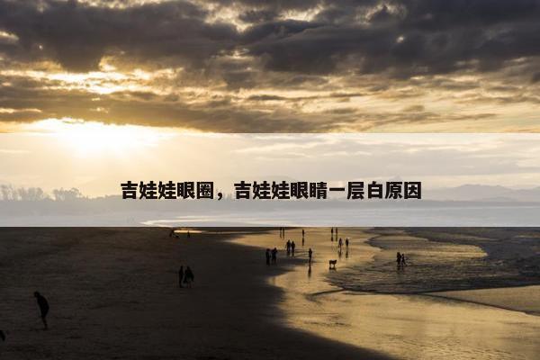 吉娃娃眼圈，吉娃娃眼睛一层白原因