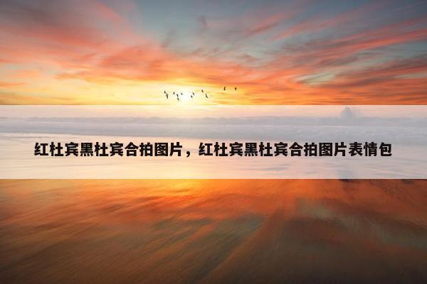 红杜宾黑杜宾合拍图片，红杜宾黑杜宾合拍图片表情包