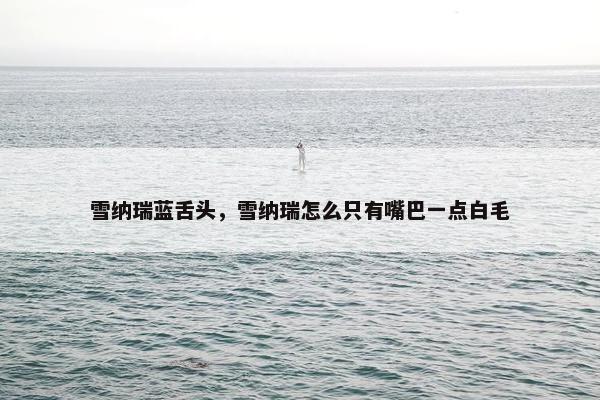 雪纳瑞蓝舌头，雪纳瑞怎么只有嘴巴一点白毛