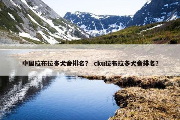 中国拉布拉多犬舍排名？ cku拉布拉多犬舍排名？