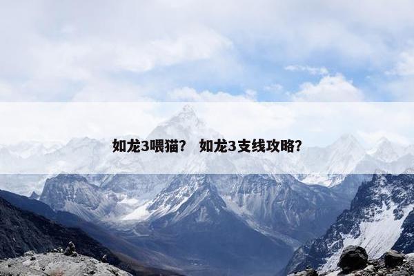如龙3喂猫？ 如龙3支线攻略？