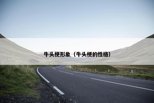 牛头梗形象（牛头梗的性格）