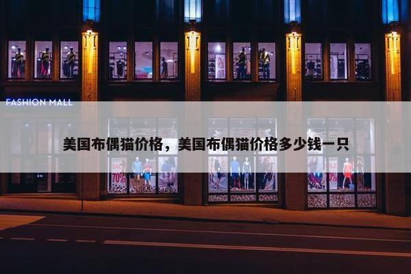 美国布偶猫价格，美国布偶猫价格多少钱一只