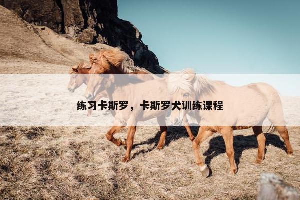 练习卡斯罗，卡斯罗犬训练课程