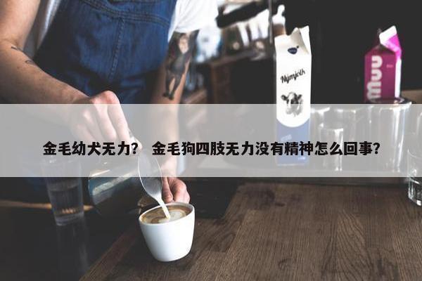 金毛幼犬无力？ 金毛狗四肢无力没有精神怎么回事？