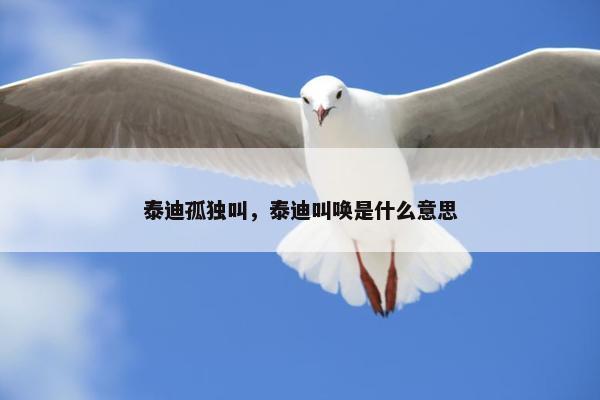 泰迪孤独叫，泰迪叫唤是什么意思