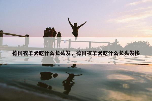 德国牧羊犬吃什么长头发，德国牧羊犬吃什么长头发快