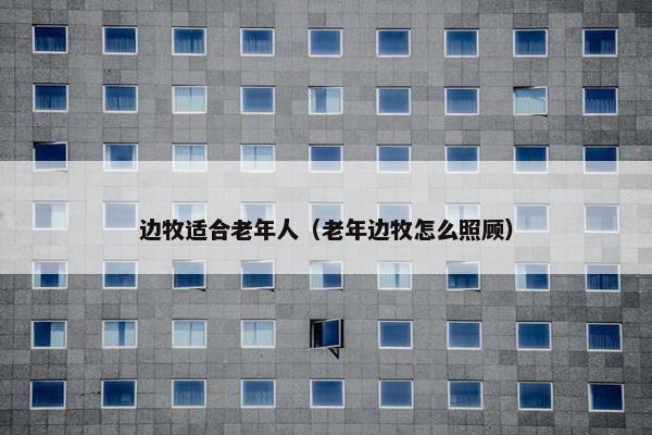 边牧适合老年人（老年边牧怎么照顾）